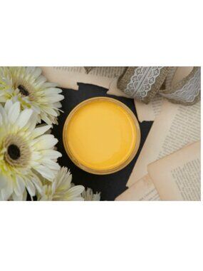 New Sealed Daisy Dixie Belle Chalk Mineral Paint 8oz